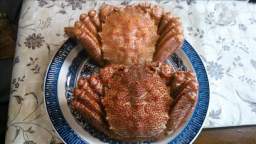 2014-08-31 13.30.17.JPG